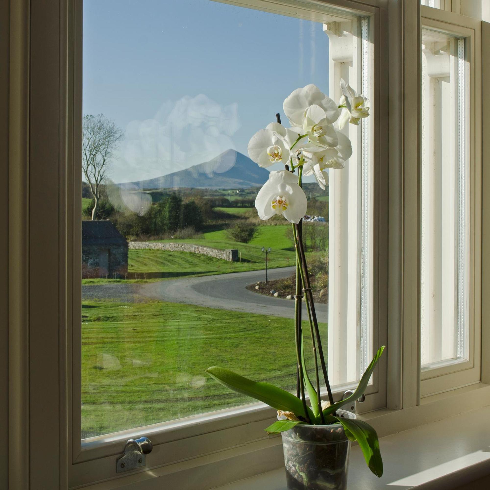 Westport Country Lodge Hotel Exteriör bild